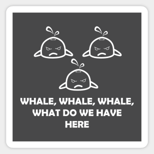 Funny Whale What Do We Have Here Sticker